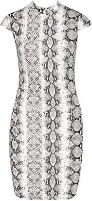 boohoo Snake Print High Neck Fitted Bodycon Dress