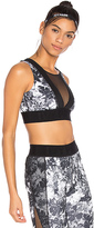 Thumbnail for your product : Ivy Park Floral Story Sports Bra Monochrome