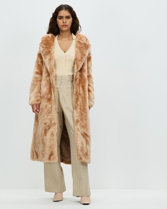 women's coats in tall sizes