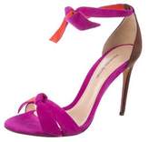 Thumbnail for your product : Alexandre Birman Suede Ankle Strap Sandals