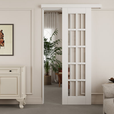 Win Stellar 80"H Hidden Style Track 10-Lite Clear Glass Sliding Barn Door With Hardware Kit(No Assembly Required)