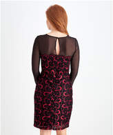 Thumbnail for your product : Joe Browns Sensual Lace Dress