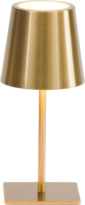 TJMAXX 22X5In Adjustable 3 Heights Rechargeable Led Tabletop Lamp
