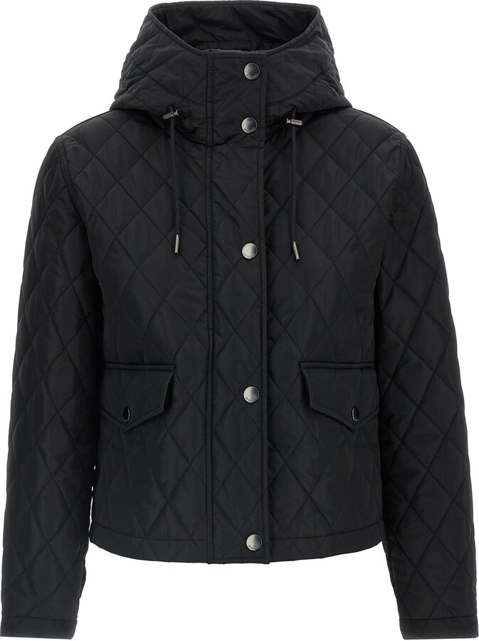 Pembroke Puffer Jackets Black