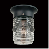 Thumbnail for your product : Thomas Laboratories Lighting 1 Light Outdoor Flush Mount