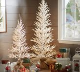 Thumbnail for your product : Pottery Barn Lit Frosted Trees