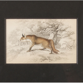 Thumbnail for your product : Rejuvenation Hand-Colored Fox Etching c1875