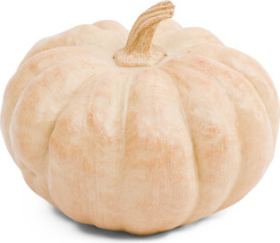 TJMAXX Resin Pumpkin Decor