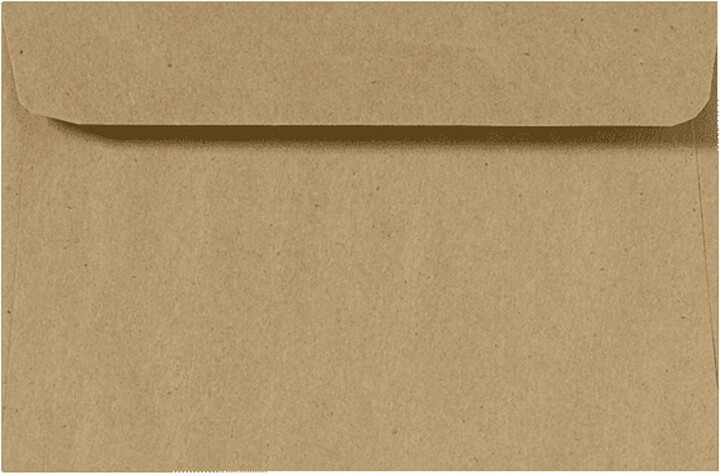 LUXPaper 9 x 12 Booklet Envelopes, Grocery Bag Brown, 50/Pack