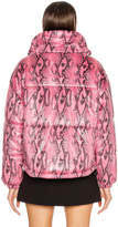 Thumbnail for your product : MSGM Snake Print Jacket in Fuchsia | FWRD