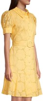 Thumbnail for your product : Rachel Parcell Belted Floral Eyelet Minidress