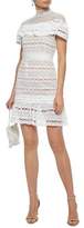 Thumbnail for your product : Raoul Ruffled Embroidered Tulle And Guipure Lace Mini Dress