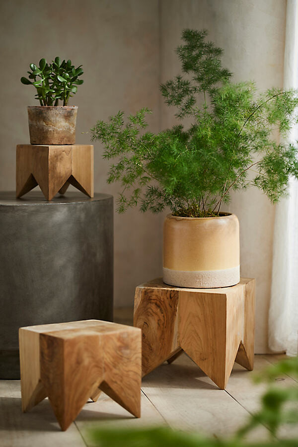 Acacia Block Plant Stand