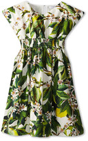 Thumbnail for your product : Dolce & Gabbana Poplin Blossom Print Dress (Toddler/Little Kids)
