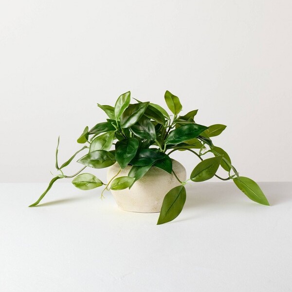 Hearth & Hand with Magnolia 8.5"SmallTrailingHoyaLeafPottedArtificialPlant-Hearth&Hand™withMagnolia