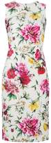 Dolce & Gabbana sleeveless floral brocade dress