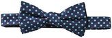 Thumbnail for your product : Vince Camuto Men's Lucca Dot Pre-Tied Bowtie