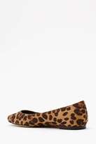 Thumbnail for your product : Nasty Gal Shoe Cult Pretty Prowl Flat