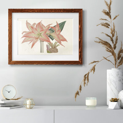 Winston Porter Amaryllis Varietals III