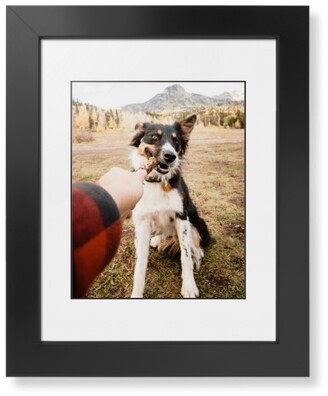 Shutterfly Framed Prints: Pet Photo Gallery Framed Print, Black, Contemporary, Black, White, Single Piece, 8X10, Multicolor