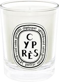 Cyprès mini candle 70 g