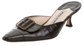 Thumbnail for your product : Manolo Blahnik Eelskin Buckle-Accented Mules