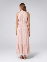 Thumbnail for your product : Ever New Lachey Maxi Petite Dress