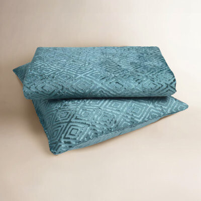 Birch Lane Alani Rayon Duvet Cover