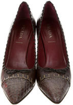 Thumbnail for your product : Prada Embossed Pointed-Toe Pumps