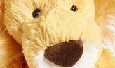 Thumbnail for your product : Jellycat 'Medium Bashful Lion' Stuffed Animal