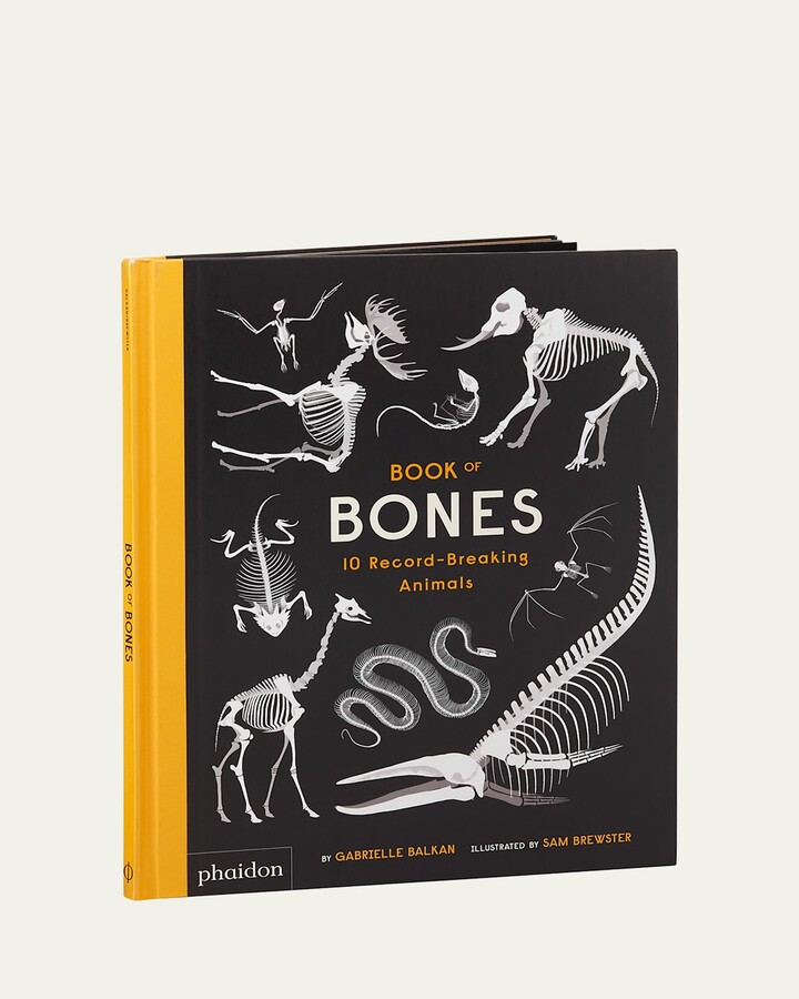 Phaidon "Book of Bones" Children's Book