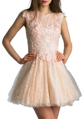 Basix II Floral Lace Fit-&-Flare Dress