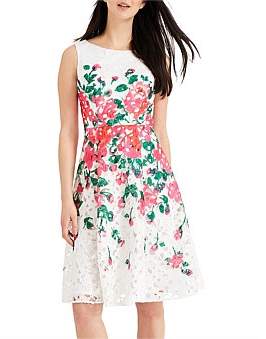 Phase Eight Janette Printed Lace Fit & Flare Dress