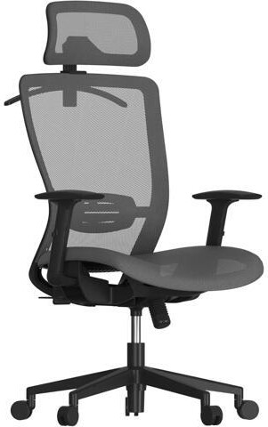 WOOJONG FLEXISPOT Ergonomic Office Chair, High Back Mesh Swivel Computer Chair, Executive Office Desk Chairs, with Adjustable Lumbar Support/2D...