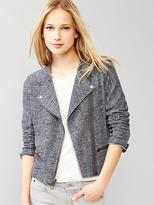 Thumbnail for your product : Gap Knit moto jacket
