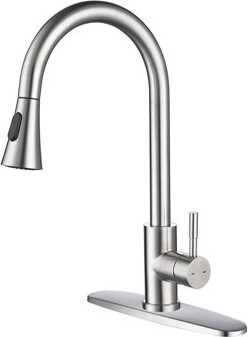 Lipoton Kitchen Faucet With Pull Out Spraye