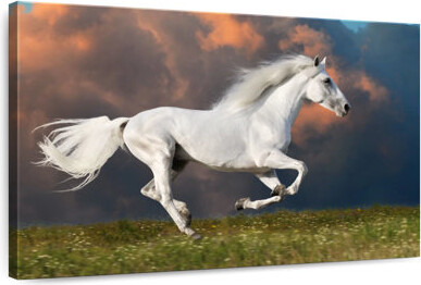 Ebern Designs Crowle Young Horse