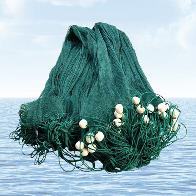 Arlmont & Co. Windon 10x65FT Fish Net