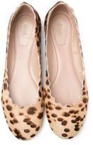 Thumbnail for your product : Chloé Scalloped Ballerina Flat