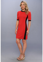 Thumbnail for your product : Karen Kane Textured Stripe Contrast Dress