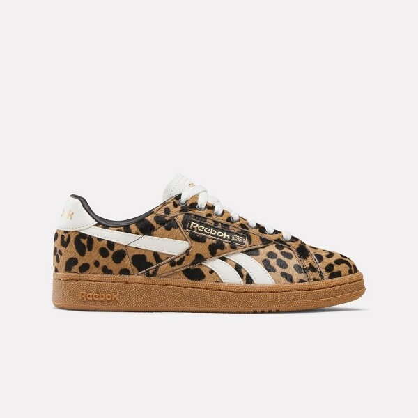 cheetah/cheetah/chalk