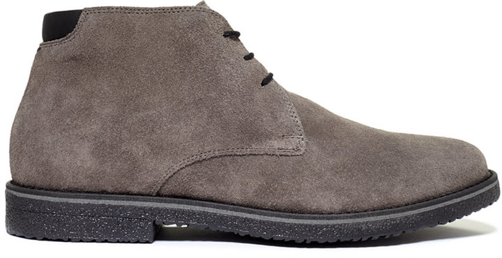 alfani chukka boots