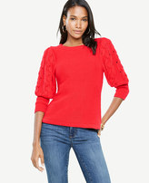 Thumbnail for your product : Ann Taylor Crewneck Cable Sleeve Sweater