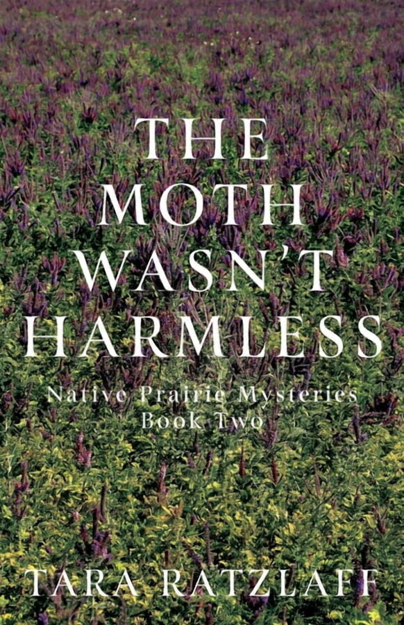 The Moth Wasn't Harmless, (Paperback)