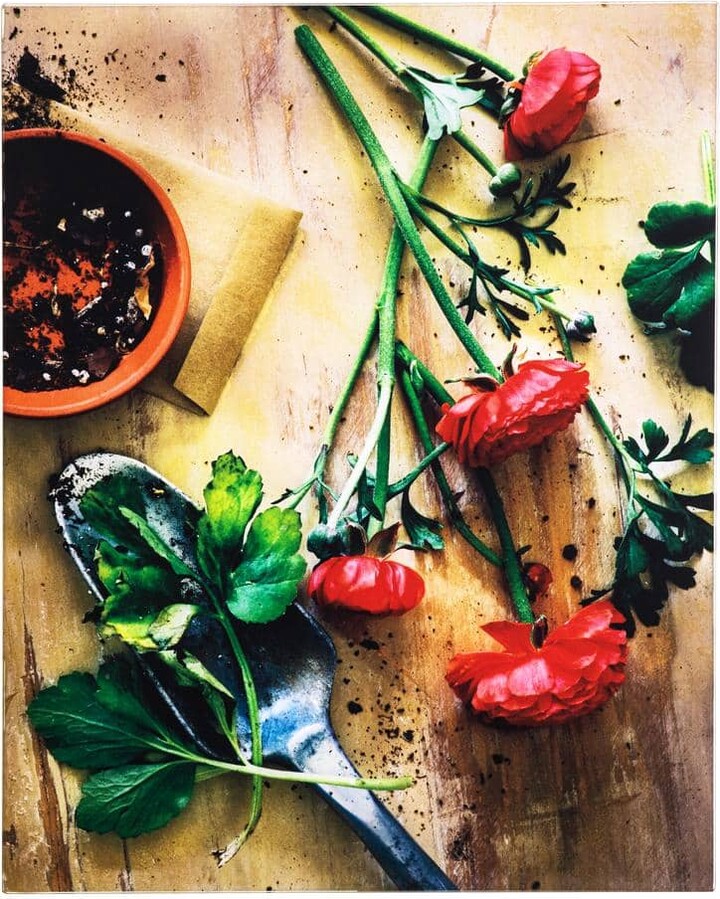 Yosemite Home Decor Tempered Glass Series "Earthy Charm I" by Veronica Olson Unframed Nature Photography Wall Art 20 in. x 16 in.