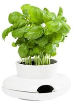 Thumbnail for your product : Sagaform Herb Pot Single