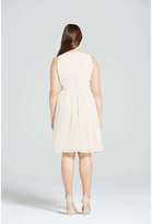 Thumbnail for your product : Little Mistress *Little Mistress Curve Beige Embellished Dresss