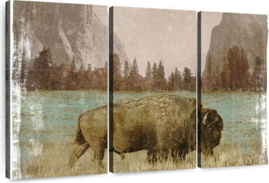 Latitude Run Bison In The Park