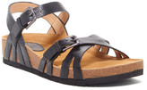 Thumbnail for your product : Sofft Baretta Sandal