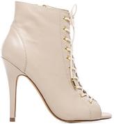Thumbnail for your product : Steve Madden Gladly Bootie